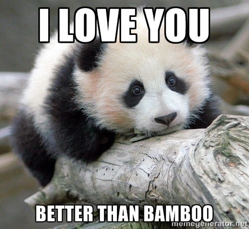gallery/004-03_panda-joke.jpg